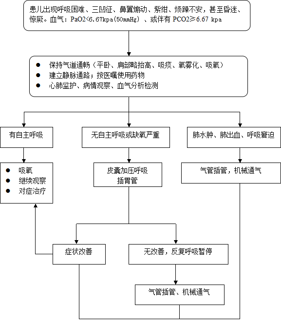 急诊抢救流程图最新版，提升急救效率的关键路径解析